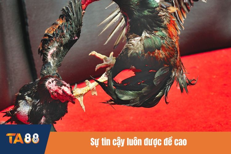 Sự tin cậy luôn được đề cao