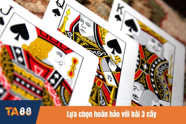 Lựa chọn hoàn hảo với bài 3 cây